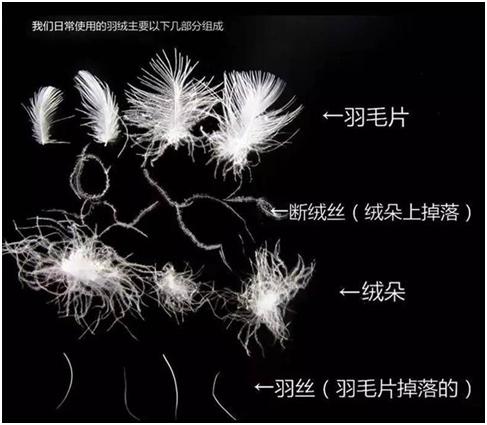 淘宝平价羽绒服怎么选择,在淘宝怎么选真的羽绒服