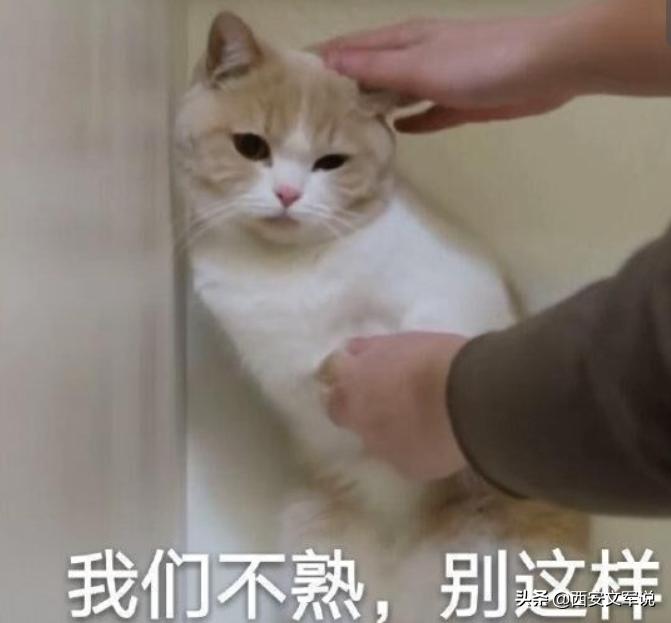 罚员工吃蚯蚓事件续,被罚生吃蚯蚓后续