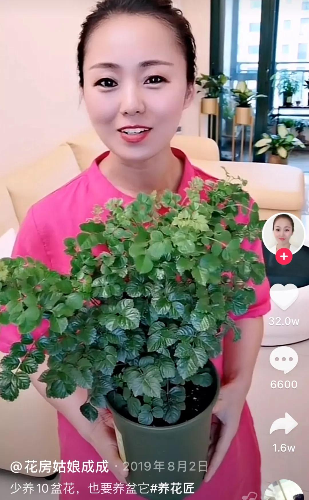 沉迷“花花世界”的41岁妈妈什么样?