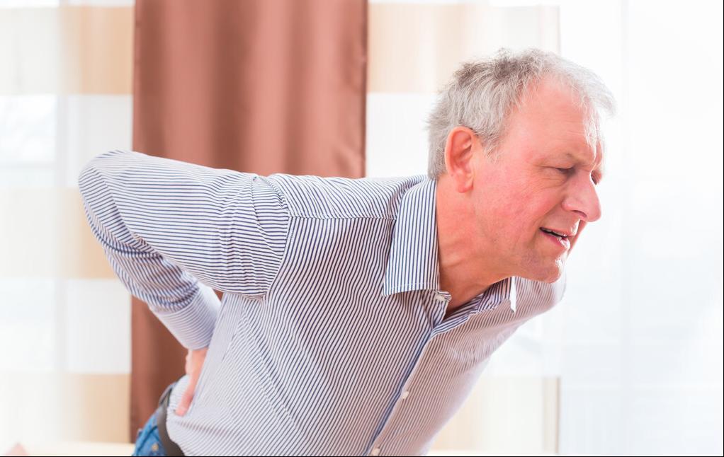 狗脊治腰痛实例,狗脊治腰腿疼的最佳方法