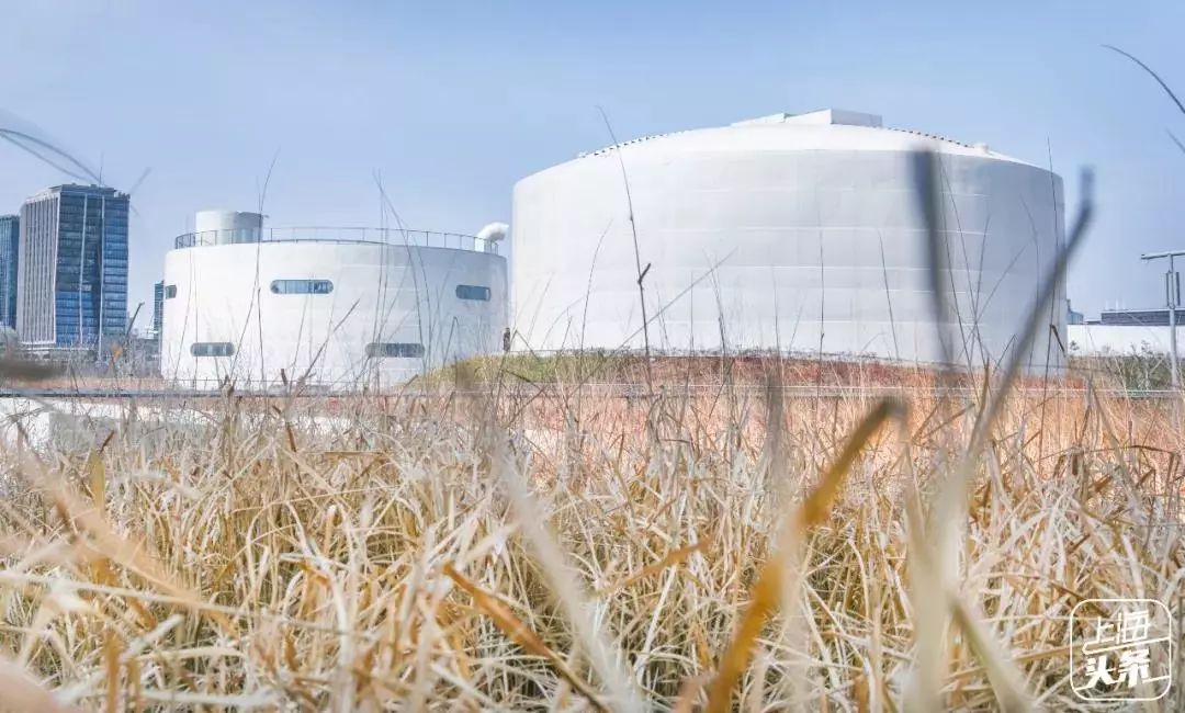 生日当天上海免费景点,上海网红打卡地点景点免费