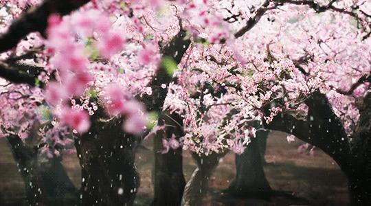 重磅！2019天津要新建这些公园！地铁公交直达！不知道就亏大了！