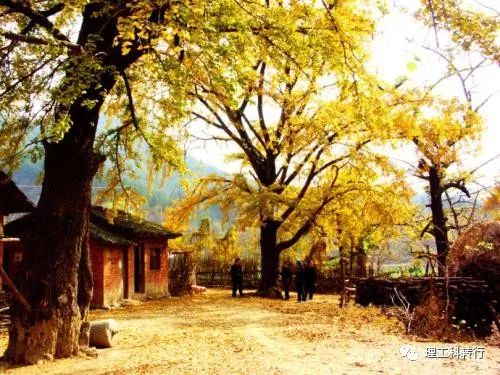 电气测控专业就业前景,电气相关专业就业前景