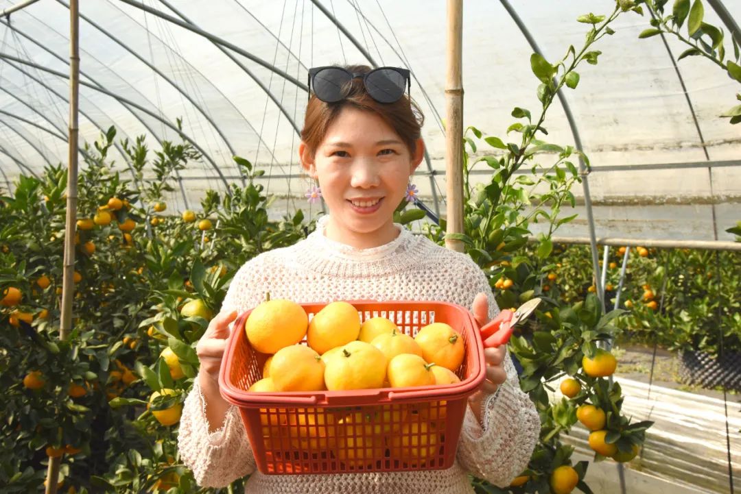 溧阳一“半路出家”的果农种出“爱玛士橘”