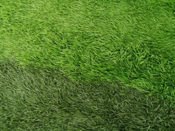 免填充人造草坪的前景,人造草坪威腾