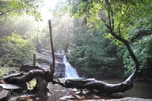 宿在驼梁，感受一种无忧的生活/郝贵云