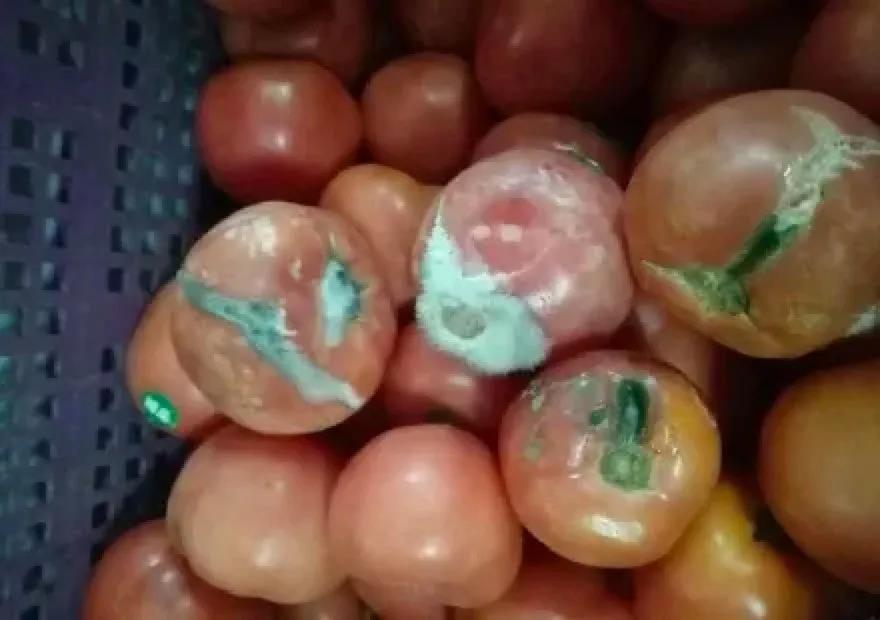 五星级酒店丑闻曝光,五星酒店乱象是真的吗