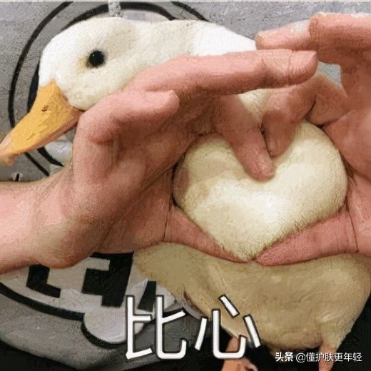 凌博士水乳适合混油皮吗,混油皮公认最好用的水乳