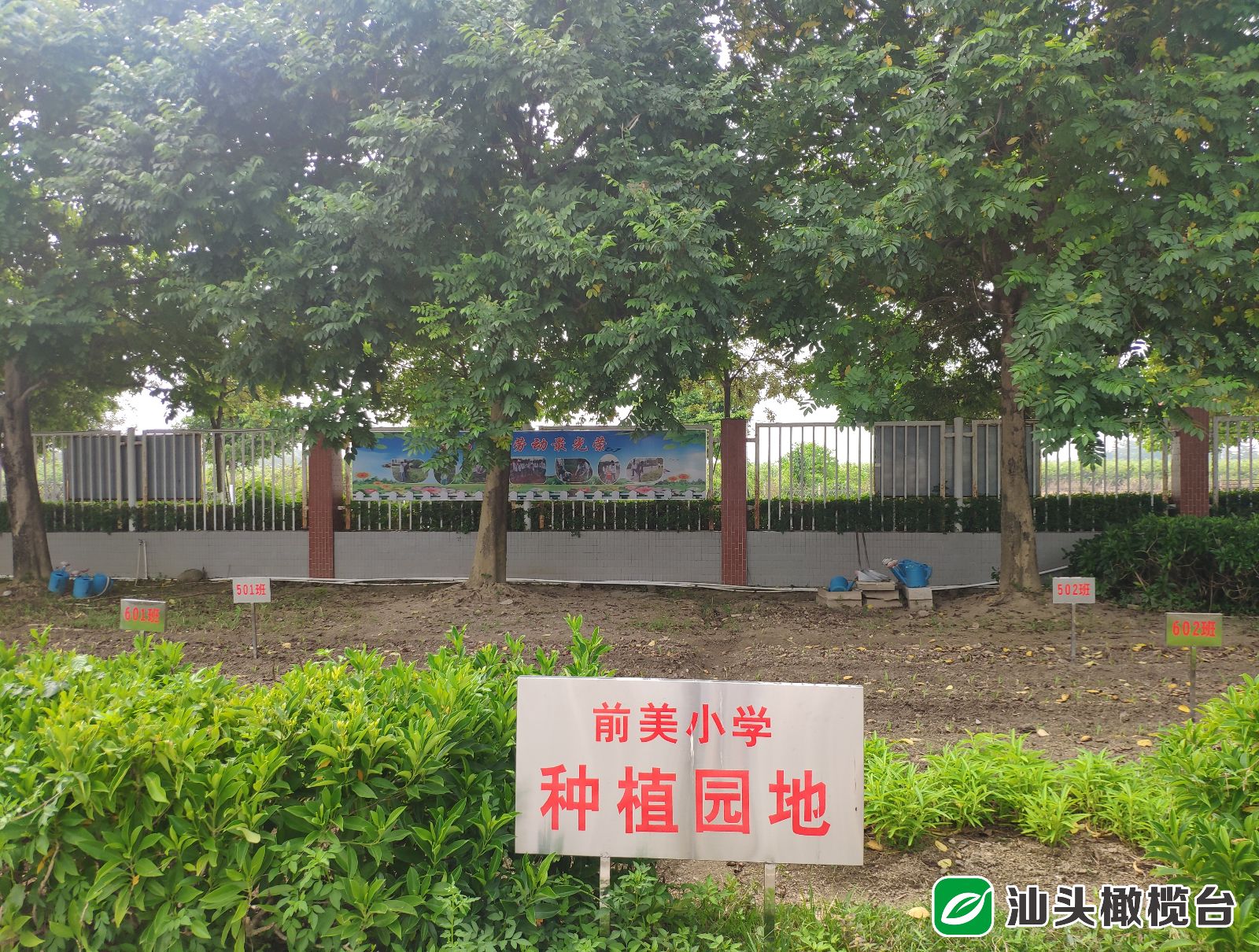 打造教育高地是什么意思,提升区域教育高质量发展的思考
