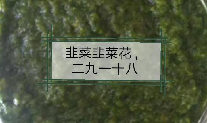 广州黄埔克拉克公寓价格,日照克拉克公寓