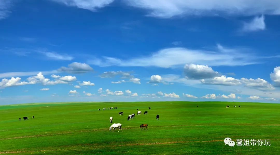 小长假天气晴好正是踏春好时节,小长假天气晴好出游踏青好时机