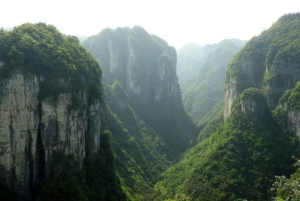 葛王佑保（中英双语）