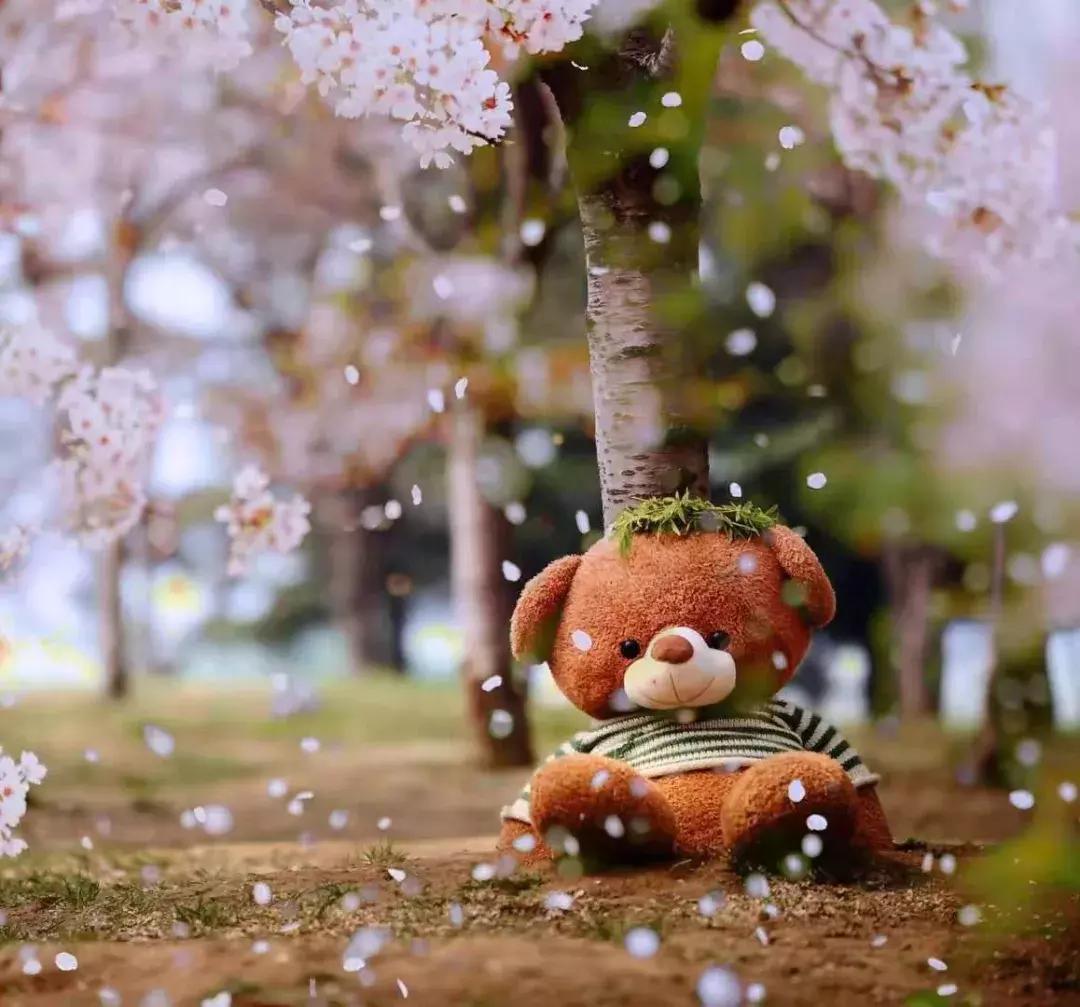 潍坊月亮湾风景区,潍坊月亮湾沙滩