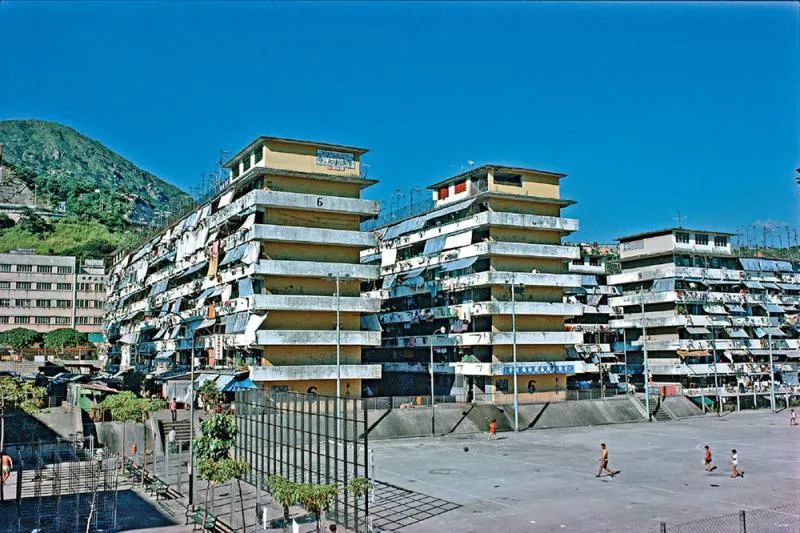 25年了,你被他们教坏了吗