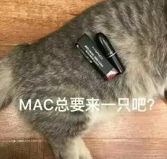 口红种草机色号,口红种草秋冬