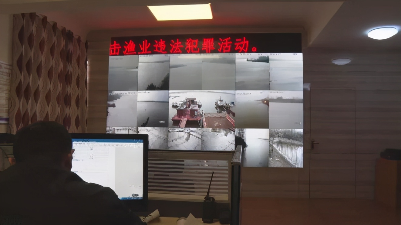 江豚是怎样过冬的,江豚怎么过冬