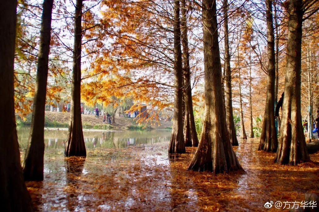 一到秋天南京就成了金陵,一入秋南京就成了金陵