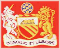 英超队徽一览表,2018-2019英超球队队徽