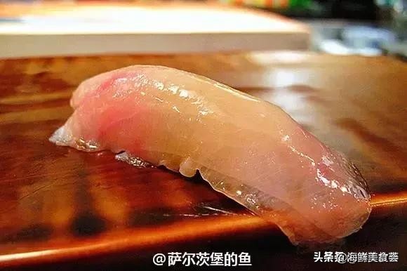 32种经典寿司做法视频,寿司常用的鱼