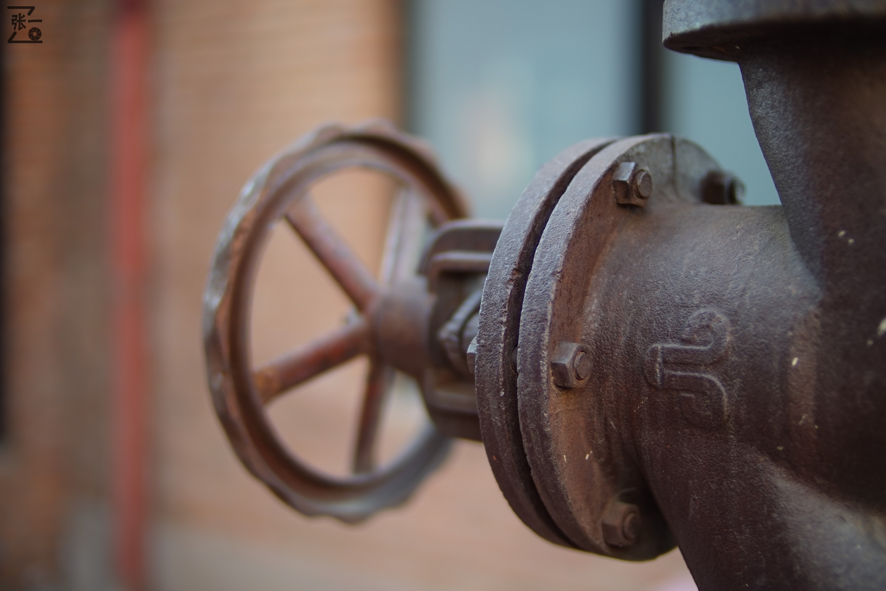 中国产微单,24-135镜头索尼