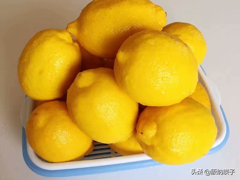 自制酵素比例1:3:10,自制酵素比例多少