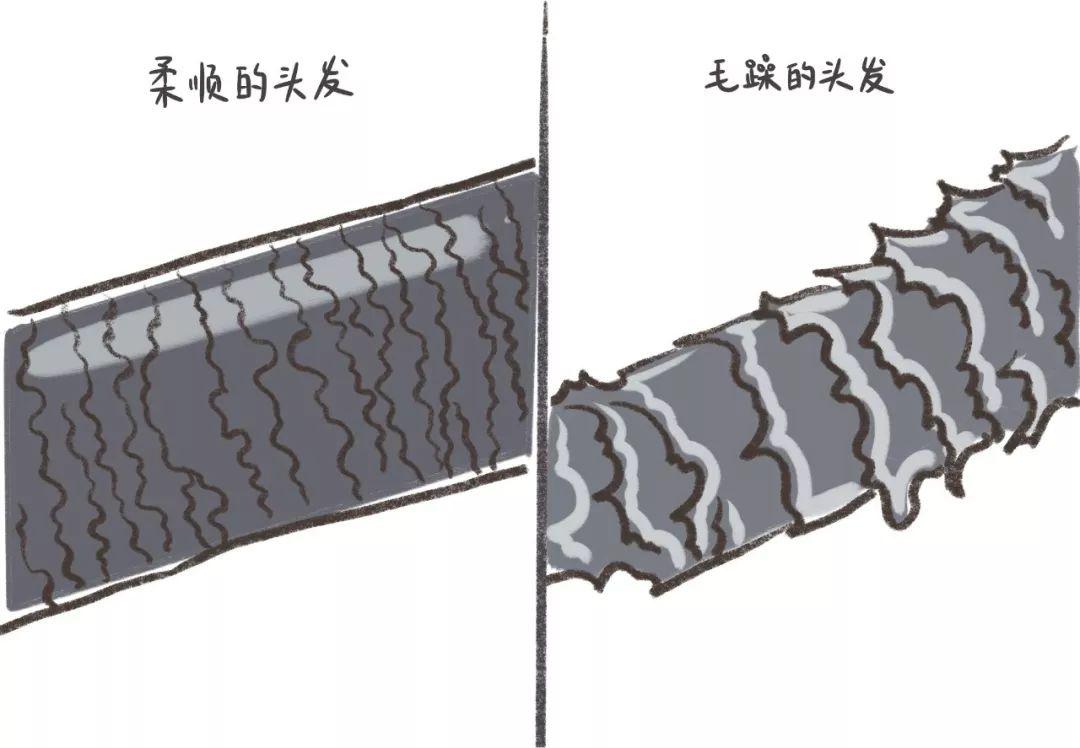 头发干枯毛躁是什么原因导致的,拉头发发尾毛躁是什么原因