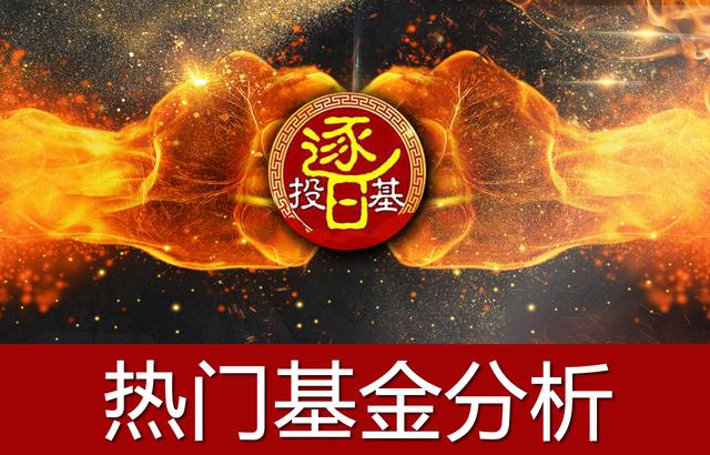 混合型策略基金近十年收益排名,混合基金第一名