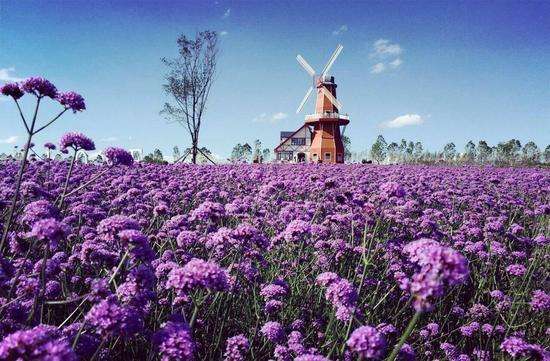 去法国留学需要多少费用,去法国留学就业好不好