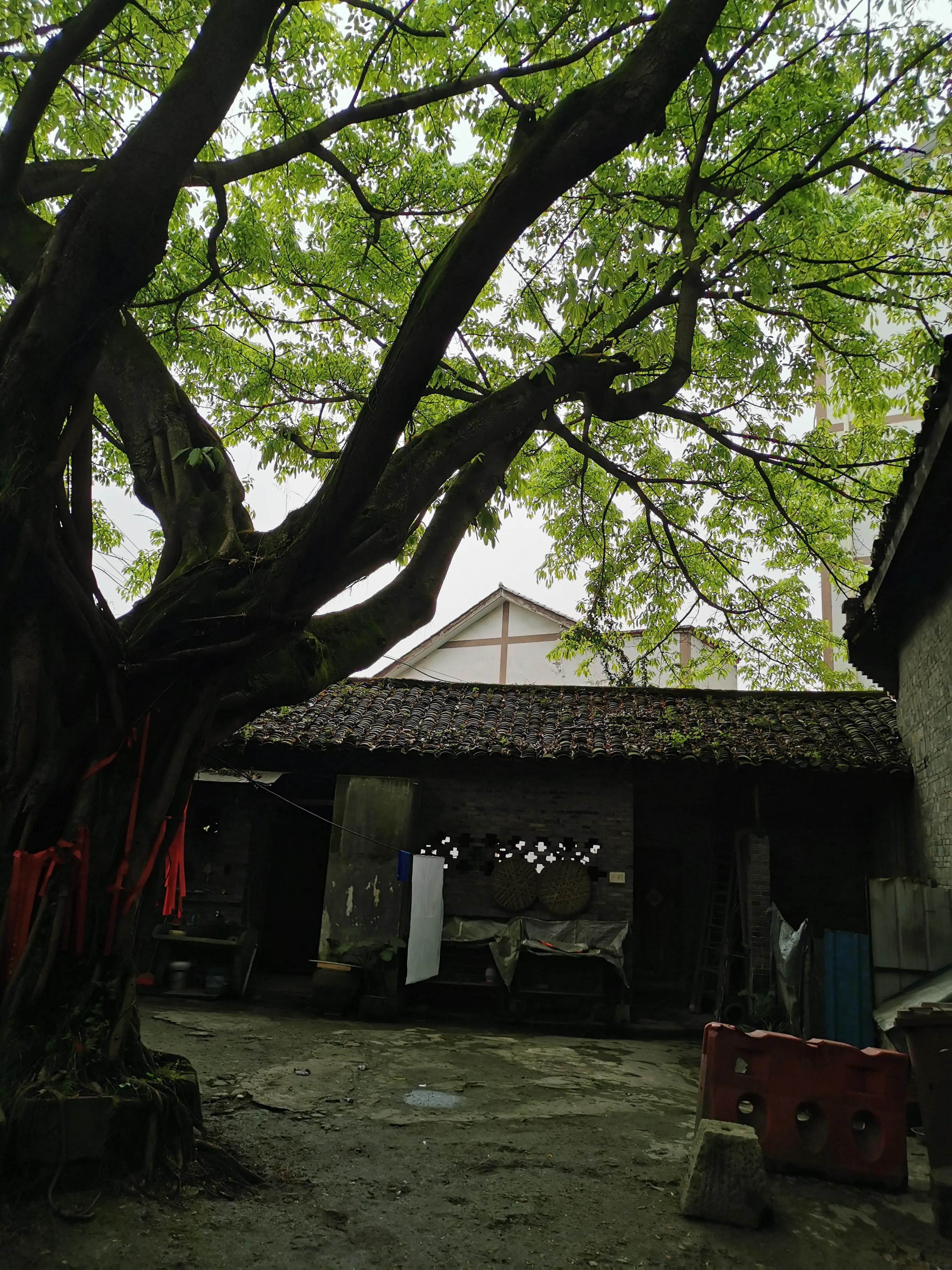 走马古镇全部图片,走马印象