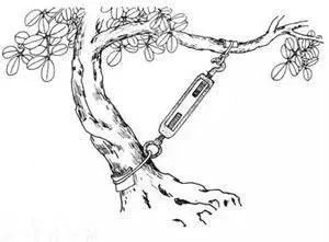 婴儿左右脑发展的训练方式,怎么看孩子左右脑发育