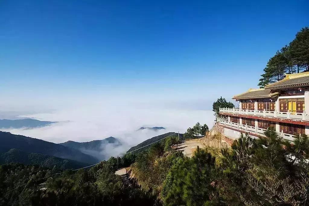 你回梅州了吗,还能回梅州吗