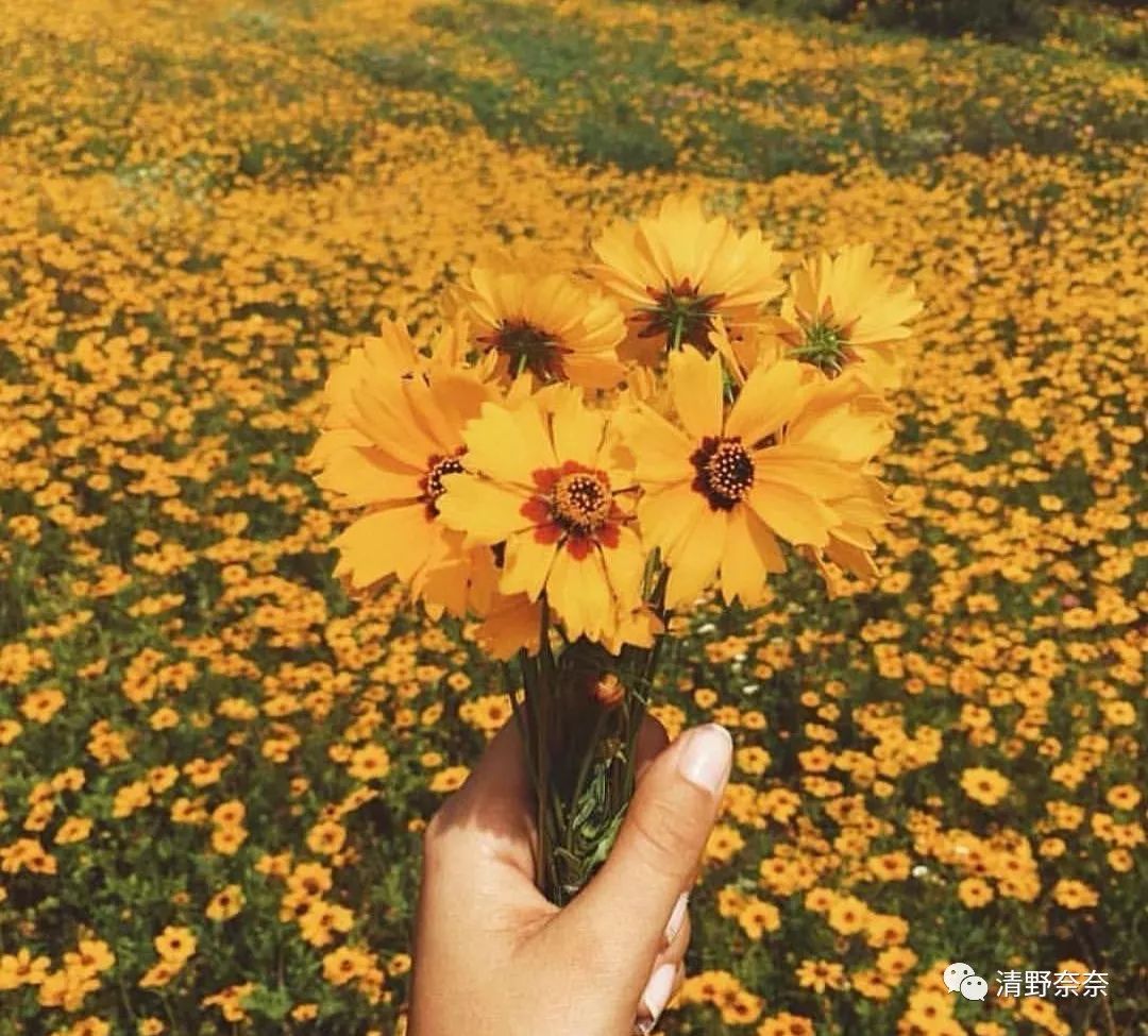 自己染头发推荐泡泡染发剂吗,爱折腾头发的女生