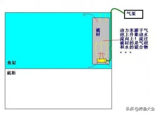 鱼缸各种过滤方式效果排名,细谈各种鱼缸过滤方法