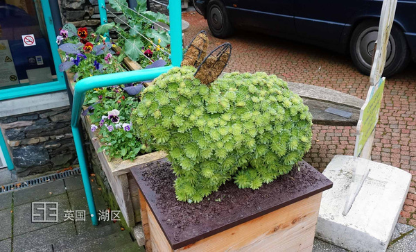 英国爱尔兰彼得兔,英国彼得兔的农庄