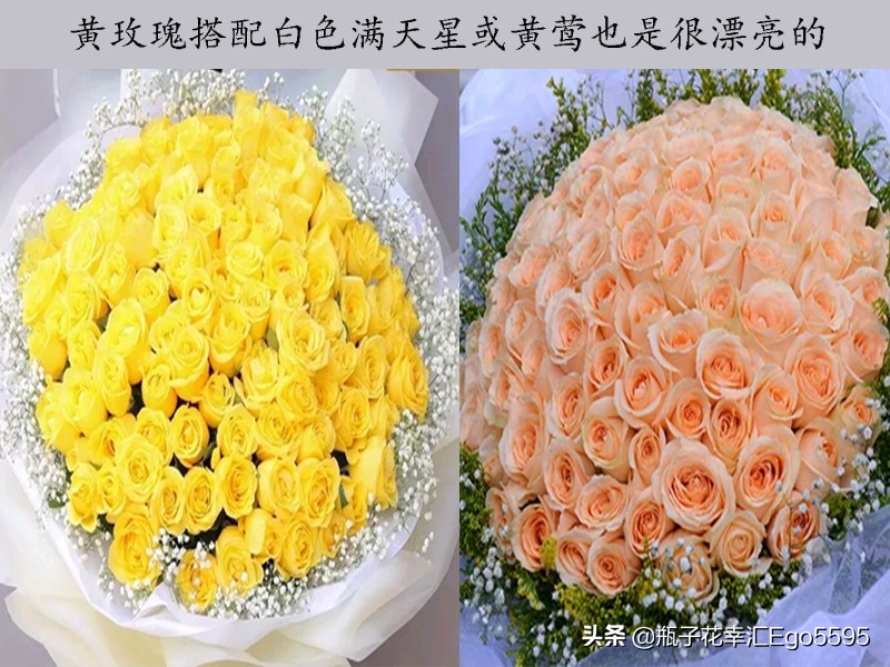 白加黄玫瑰花浪漫花语,粉色玫瑰花和粉色郁金香的花语