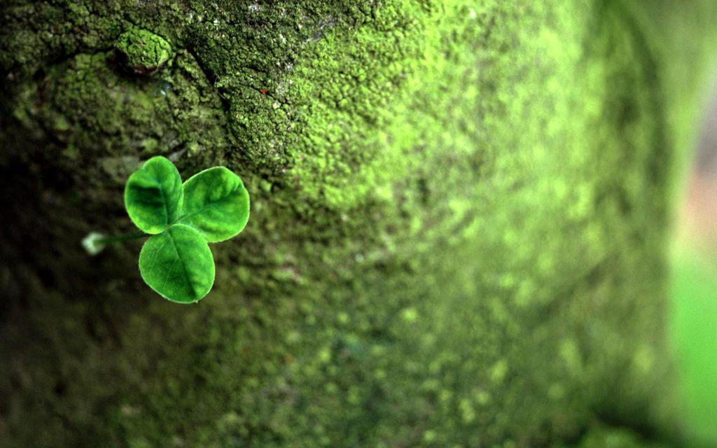 2月4日迎“立春”,俗语“立春热过劲,转冷雪纷纷”,有道理吗?