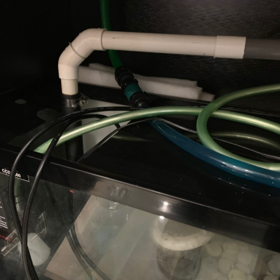 可丽爱鱼缸沉淀仓上放干湿分离盒,可丽爱沉淀仓可以拆吗