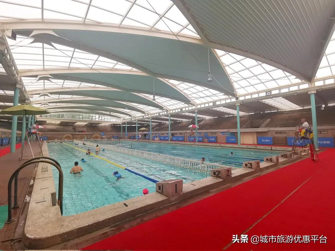 收藏游泳视频下载,冬季游泳大全