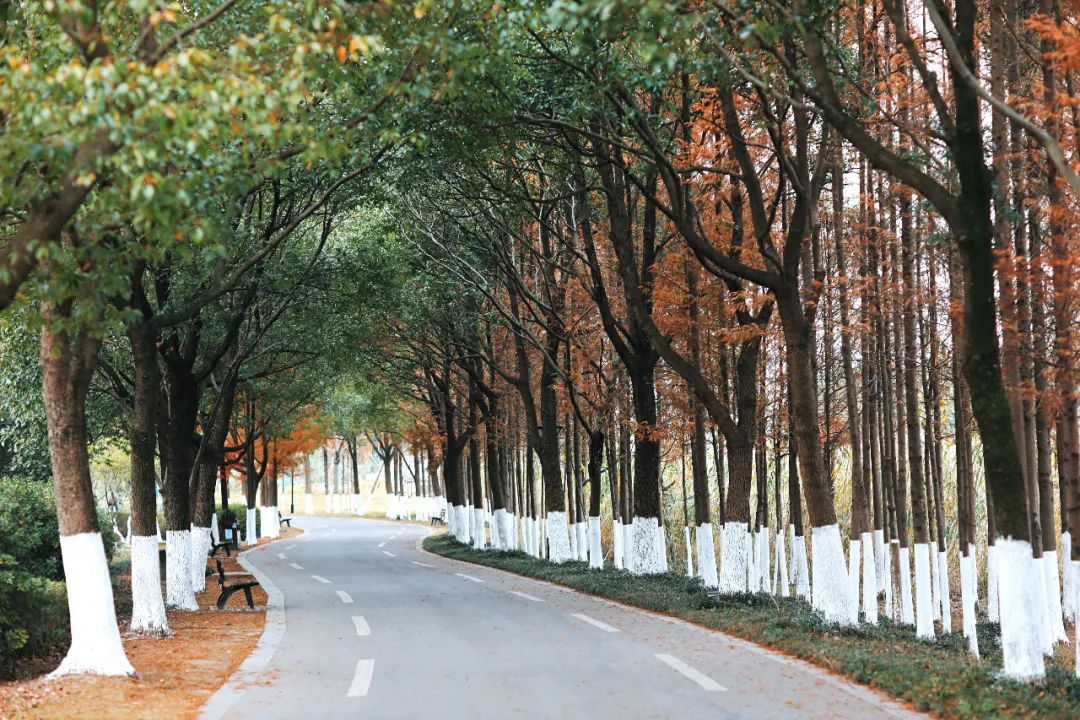 闃虫緞婀栨矙瀹舵禍鐖婇浮,涓轰簡澶ч椄锜规潵鍒伴槼婢勬箹