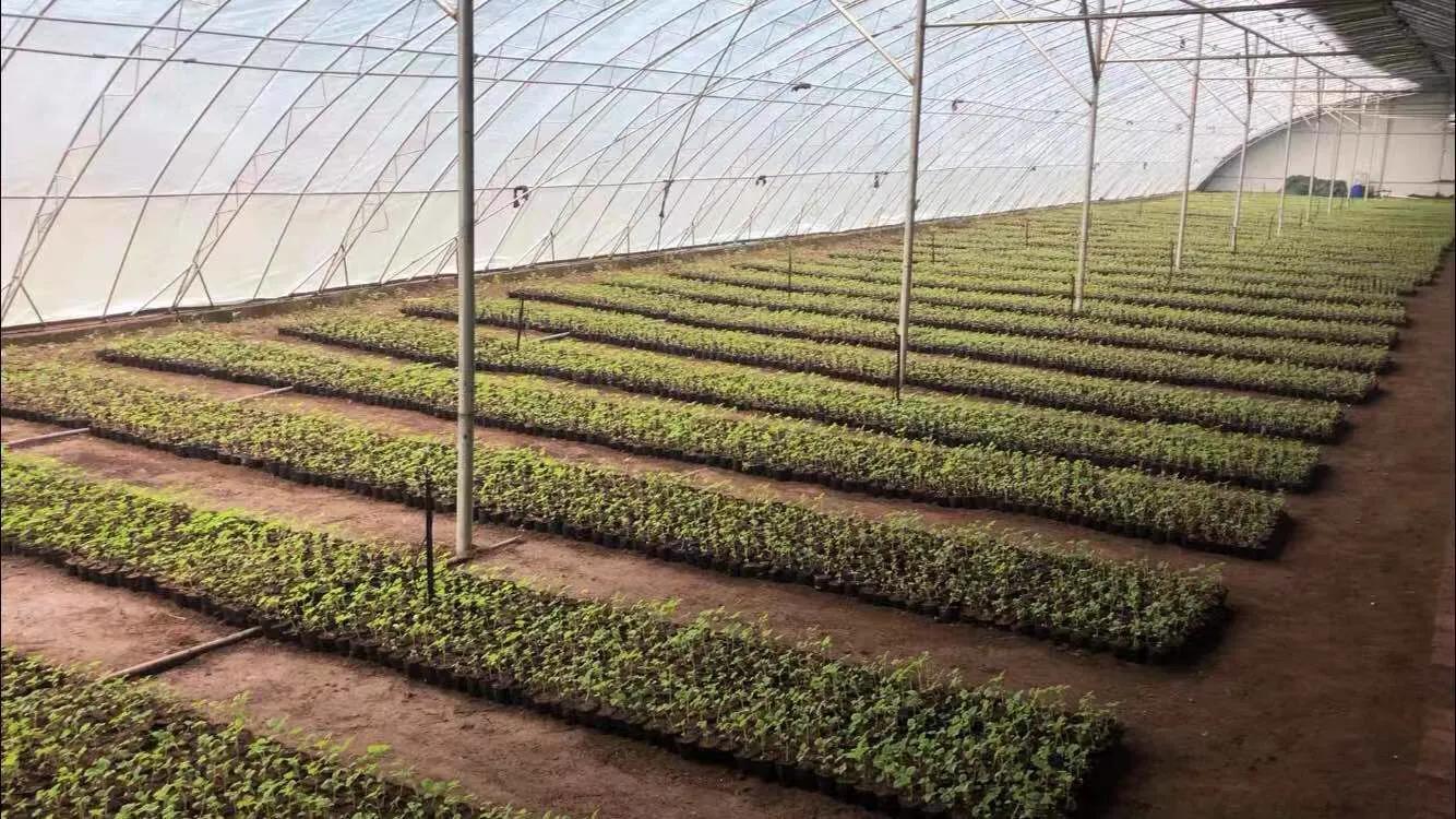 产业兴环境美乡风淳,产业兴百姓富乡村美