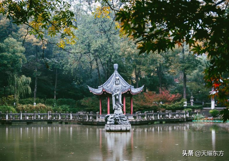 佛说遇到苦难不要逃避要接受忍受,佛说只要面对现实才能超越现实