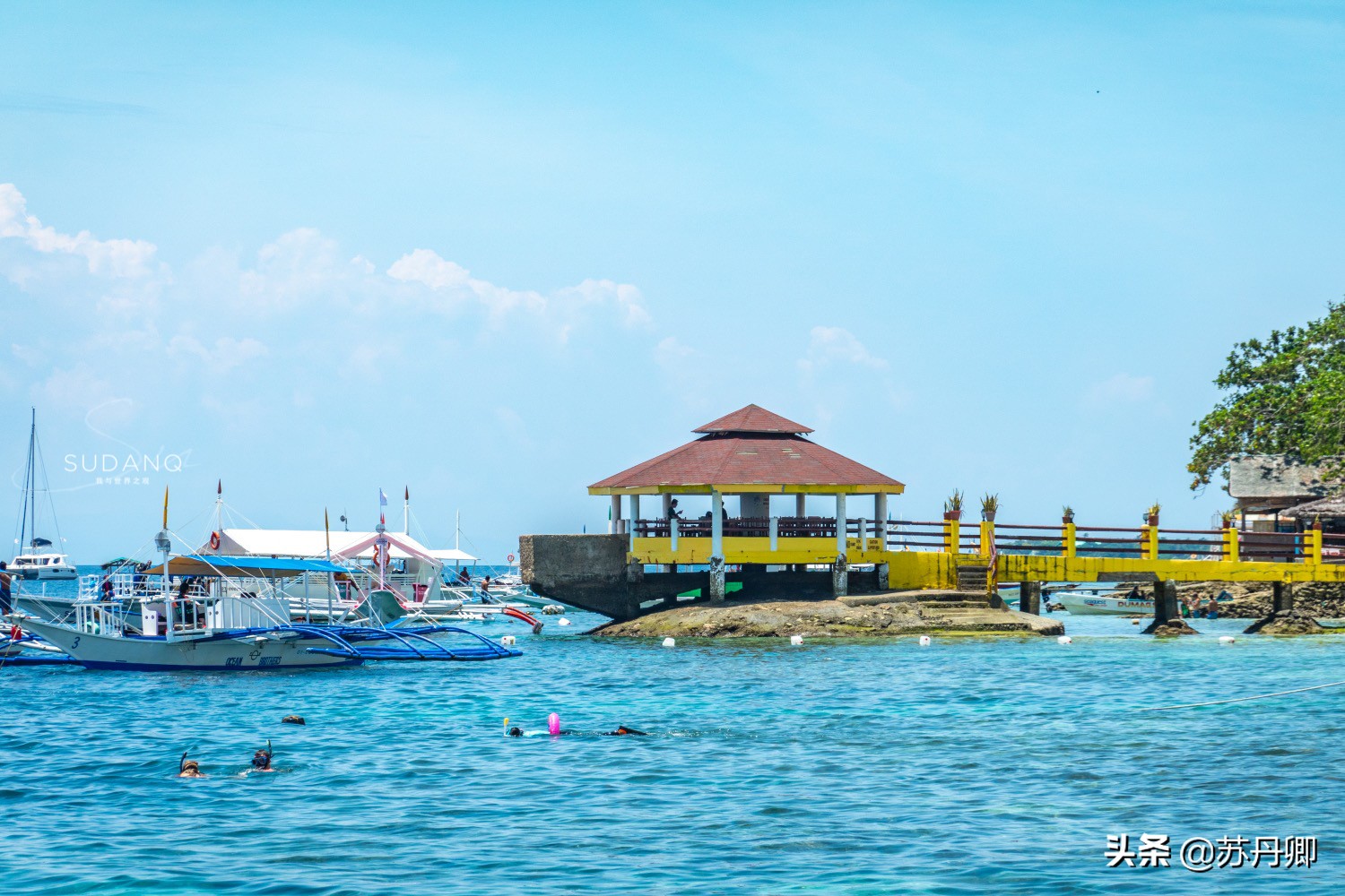 极限潜水死亡名单,潜水的死亡率高