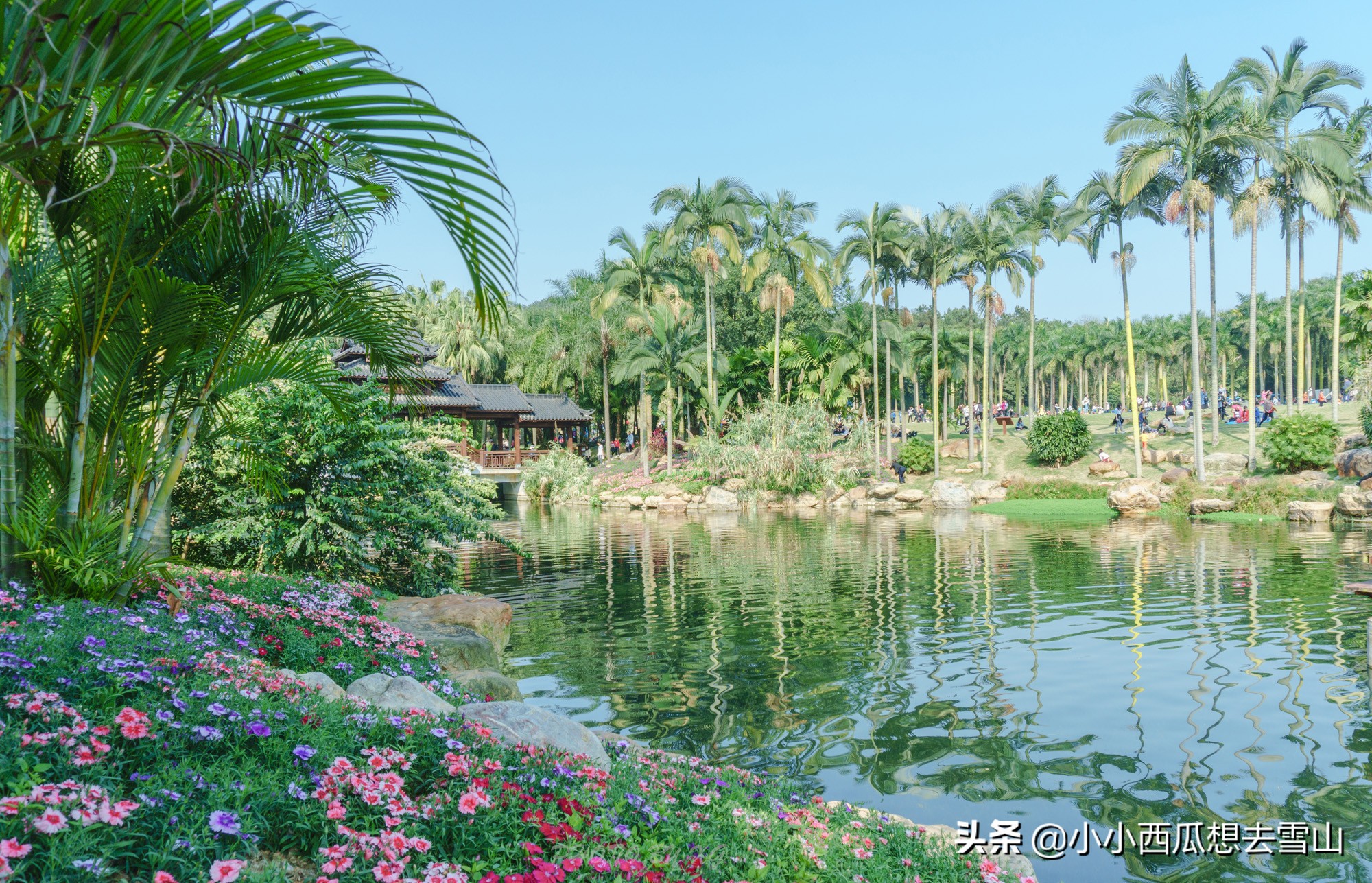 广西南宁出发凤凰古城旅游攻略,南宁到云南自驾游最佳路线攻略