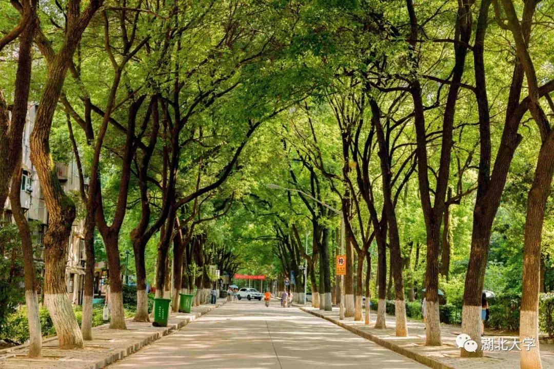 今天是你的生日，我的湖北大学！书记喊你回学校打卡