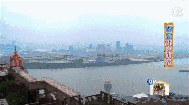 微商张庭现状如何,张庭注销9家公司涉及50多亿元