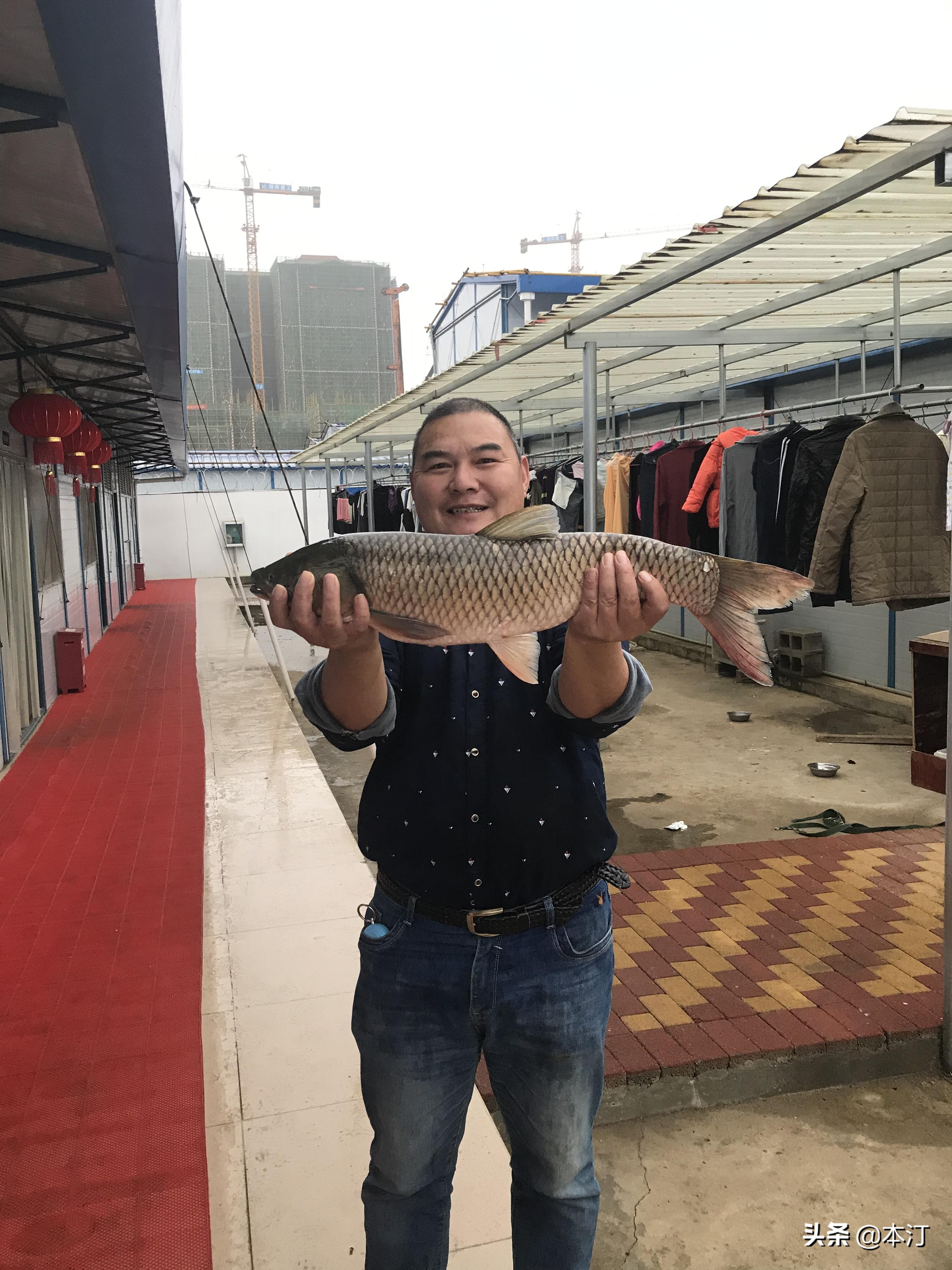 大草鱼我来了！本汀金迦潘强弓开光记