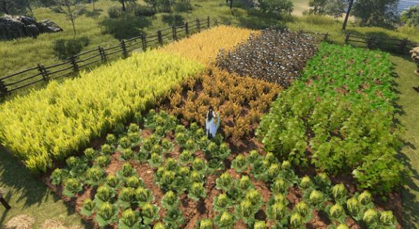 九阴真经最好的职业,九阴真经哪个职业最难