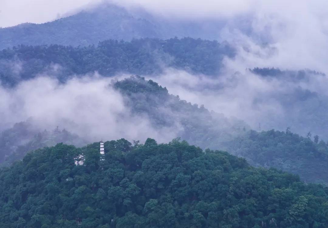 快递创始人聂腾飞车祸原因,聂腾飞老婆改嫁给了谁