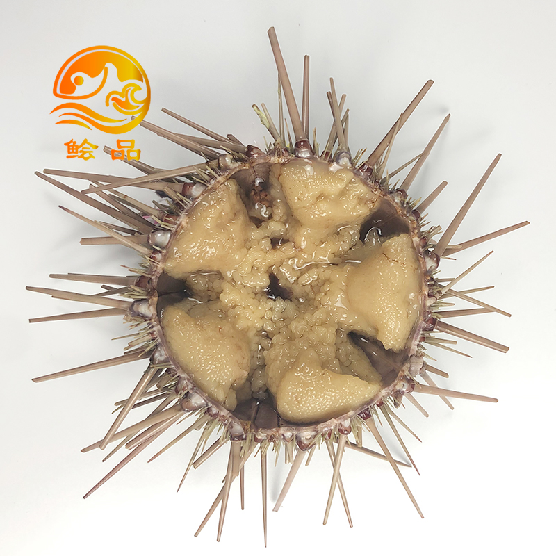 閲嶅ぇ鎻,鐧借壊娴疯儐鑲夎兘鍚冨悧