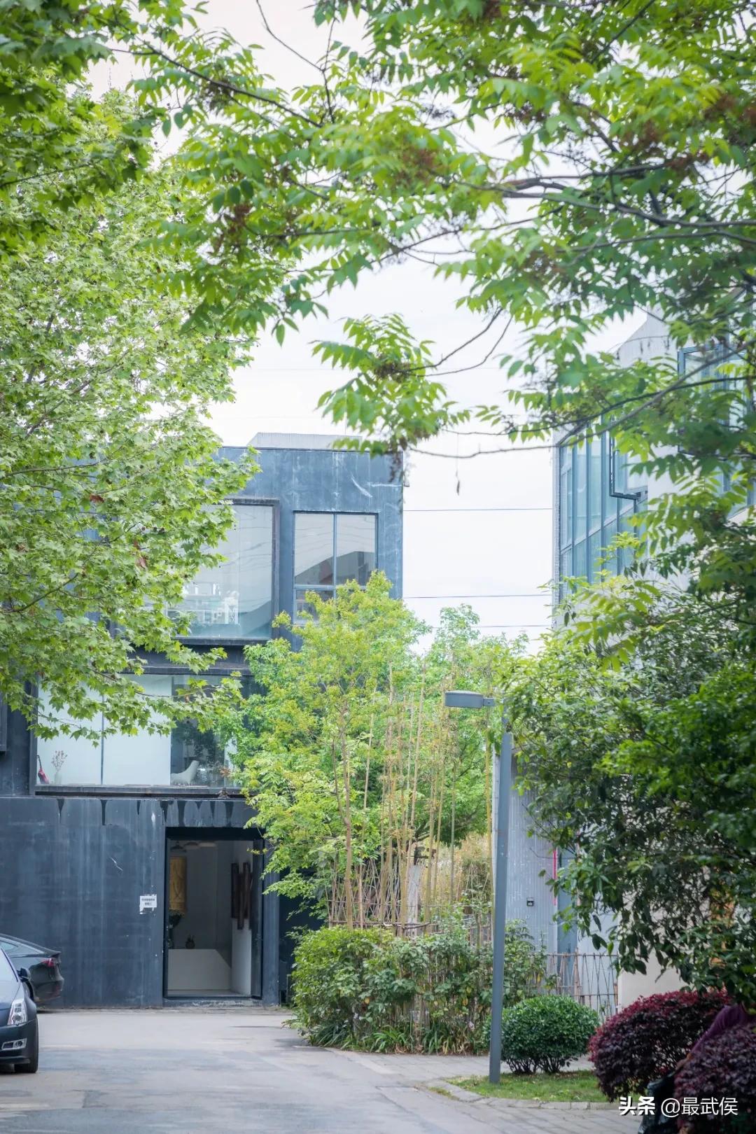 成都便宜的大花市,成都街边卖花一元一束